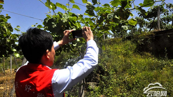 ��ǰ�����������״��ϵ��̿쳵