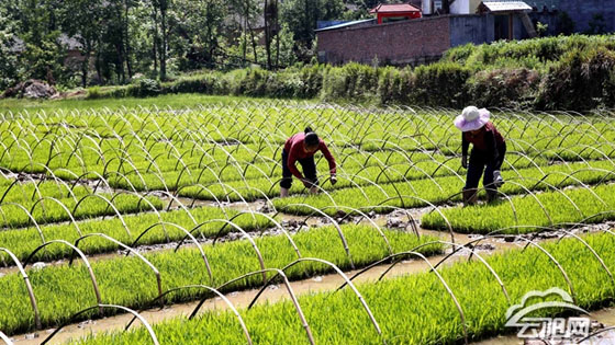 ��Զũҵ�������޹�˾�ķ�չԸ��