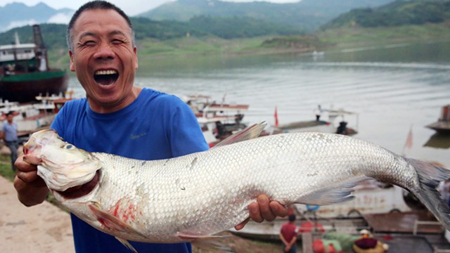 �����ڽ��� ������������ϲ�����