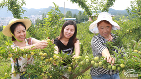 ��������ͩ��150Ķ�������� ��ĩ����ȥ��ժ