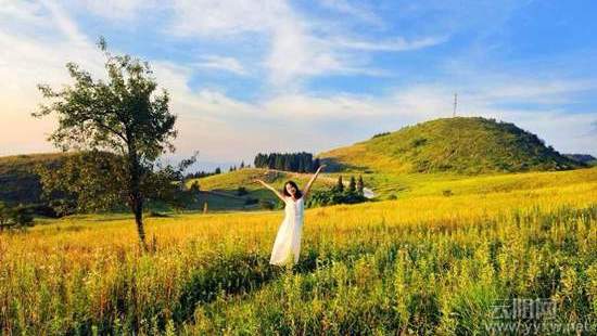 ��������.�������� ������ӭ��