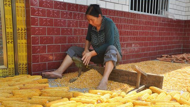 �����������ճ������׼���ʧ