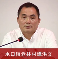 ˮ�������ִ嵳֧�����̷����