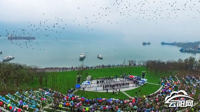 �¹��ƺ��԰��ʽ������������Ÿ�ŷ�