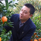 �����������������¸�