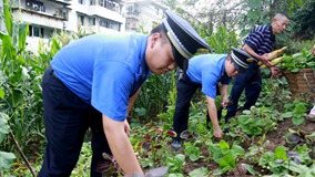 ������¥���������ֲ� �����ǹܾ�ǿ�Ʋ��