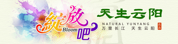 ���Ű���������